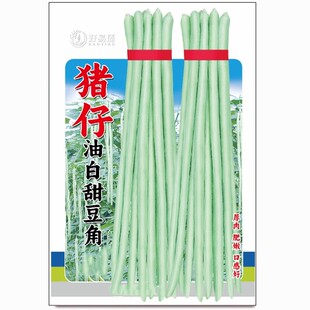 猪仔油白甜豆角种子厚肉甜豆角好吃豆角种籽 糯米花黑籽豇豆种子