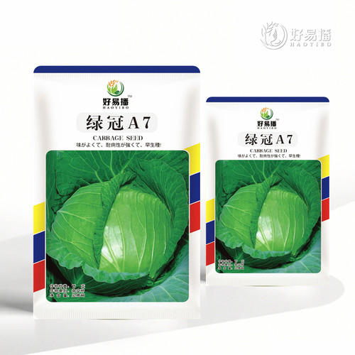 绿冠甘蓝种籽包菜色绿耐裂春秋蔬菜种子包心菜孑口感水果卷心菜籽 - 封面