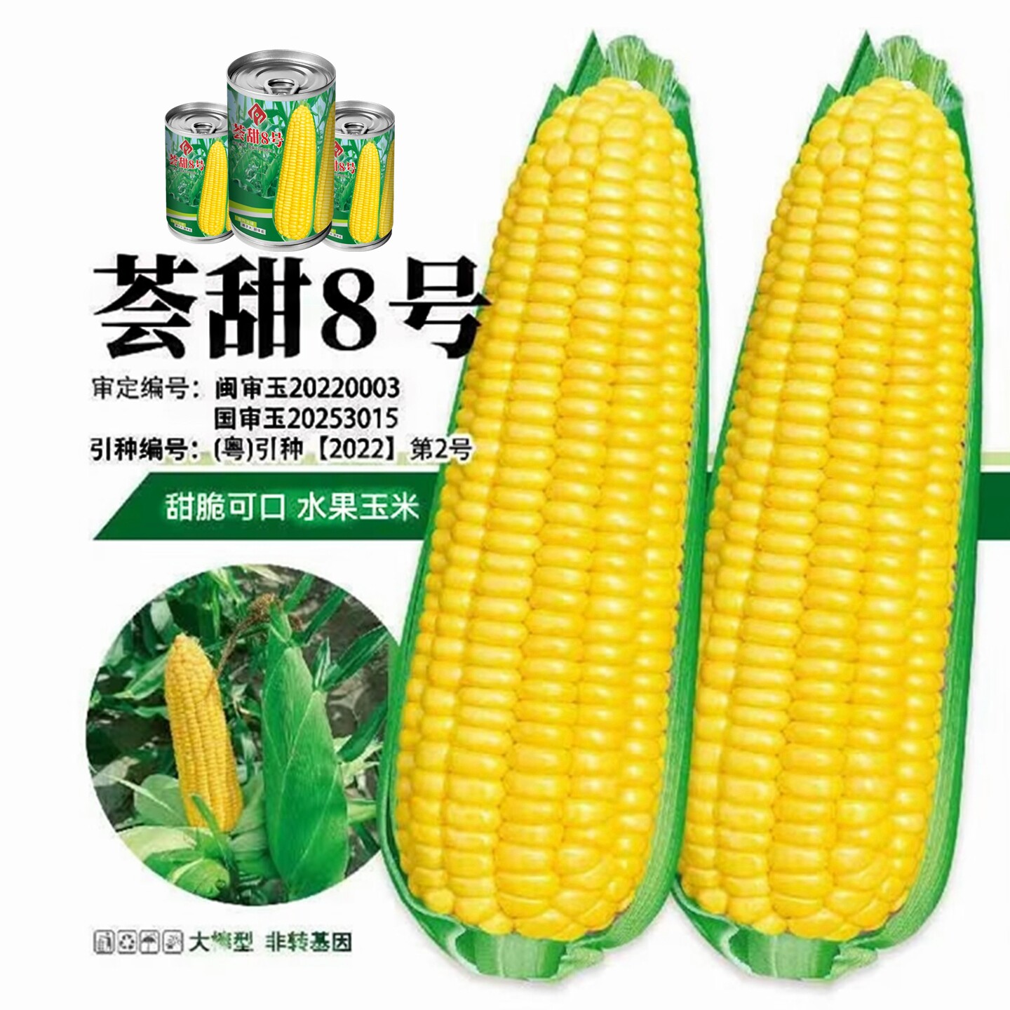 荟甜8号水果玉米种子大棒型玉米家庭园艺种子