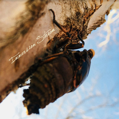 湛道售后 路亚竿 配节维修专用 自行下单无法发货 鱼某人