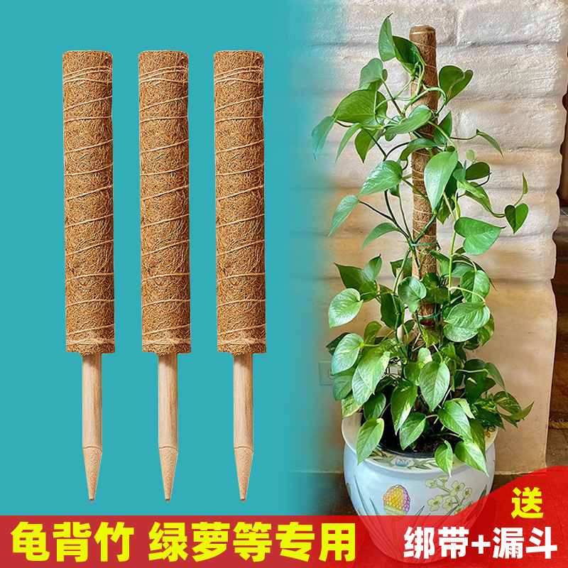 椰丝苔藓柱绿萝桩攀爬类龟背竹用