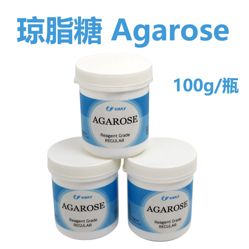 琼脂糖蛋白凝胶DNA电泳核酸