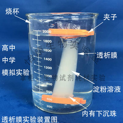 促销透析袋MD44膜学生开学高中通过模拟实验探究透性淀粉溶液渗析