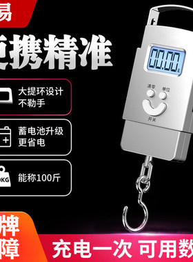 便携式手提高精度小型家用秤