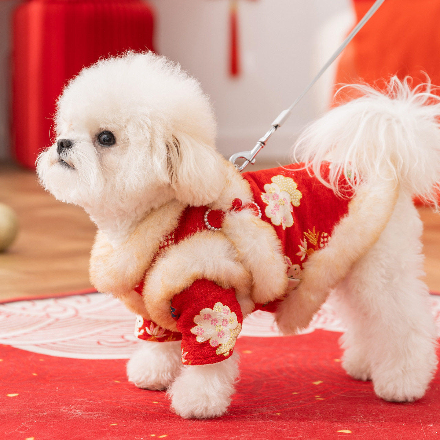 新年狗狗衣服富贵花开加厚保暖牵引过年喜庆宠物唐装拜年猫咪衣服,宠物/宠物食品及用品,狗宠物服装/雨衣,淘宝优惠券,粉丝福利购,淘宝优惠卷