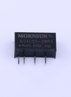 B2405S-2WR3/2403/2409/2412/2415/2424 2W 高品质DC-DC模块电源