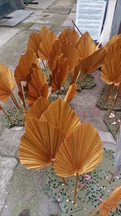 喷漆彩色蒲扇叶婚礼花艺拍照道具空间美陈装 置橱窗布置金色红色