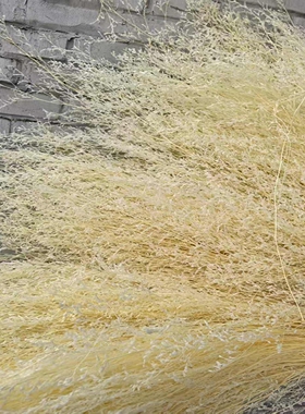情人草永生花花束装饰干花