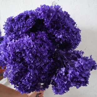 修装 饰家居摆件装 饰拍照DIY 装 永生安娜绣球干花婚礼布置花艺软装