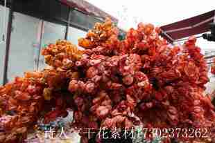 干花栾树果灯笼果花艺软装 饰 花艺美陈婚庆布置咖啡厅装