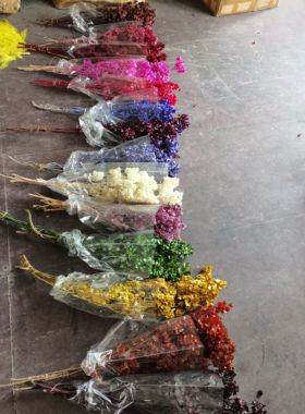 永生花蝴蝶片保鲜花白色婚礼花艺