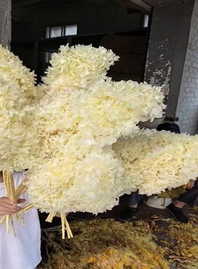塔状永生花木绣球婚庆花材