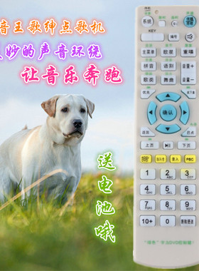 适用yu音王歌绅点歌机SG-301/SG-708/N /303/615/318/788遥控器