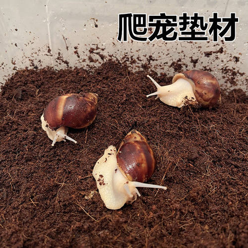 寄居蟹专用免泡透气椰土垫料