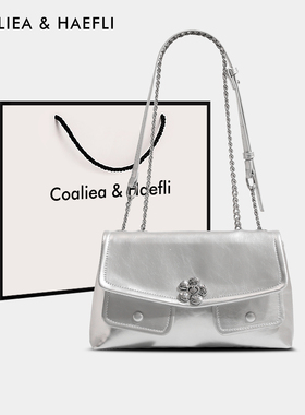 香港品牌银色链条包包2026新款女士腋下包小巧单肩包高级感斜挎包