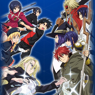 素材/定制 盒装  【悠久持有者】   【DVD刻录光盘】