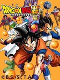 素材/定制 盒装  【龙珠超】  【DVD刻录光盘】