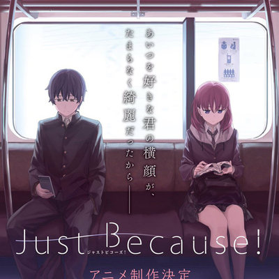 素材/定制盒装  【Just Because!】   【DVD刻录光盘】