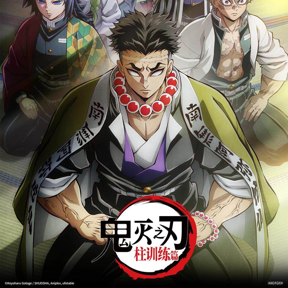 素材/设计盒装 【鬼灭之刃 柱训练篇】【DVD刻录光盘】