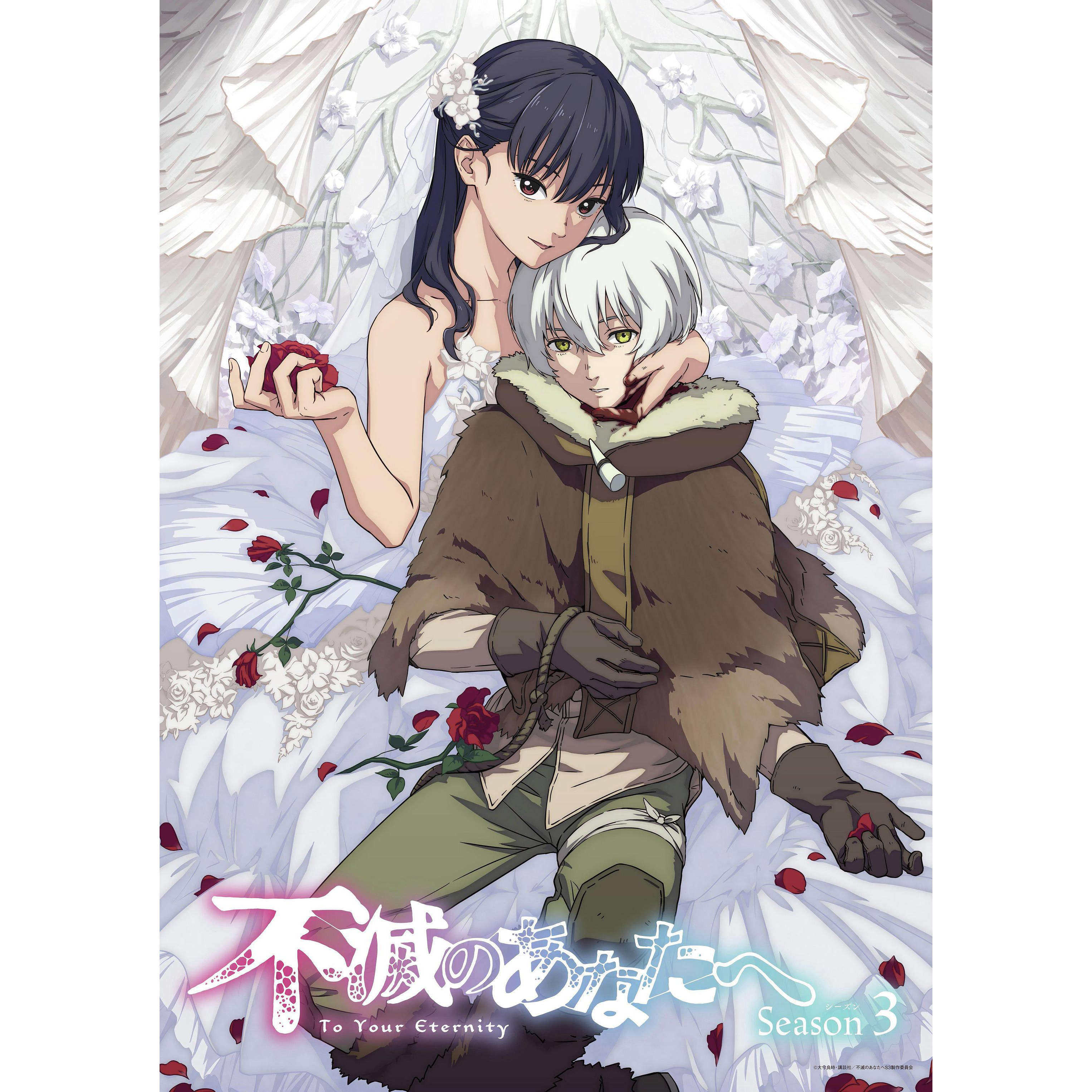 素材/设计盒装 【 致不灭的你 】第3期 【DVD刻录光盘】