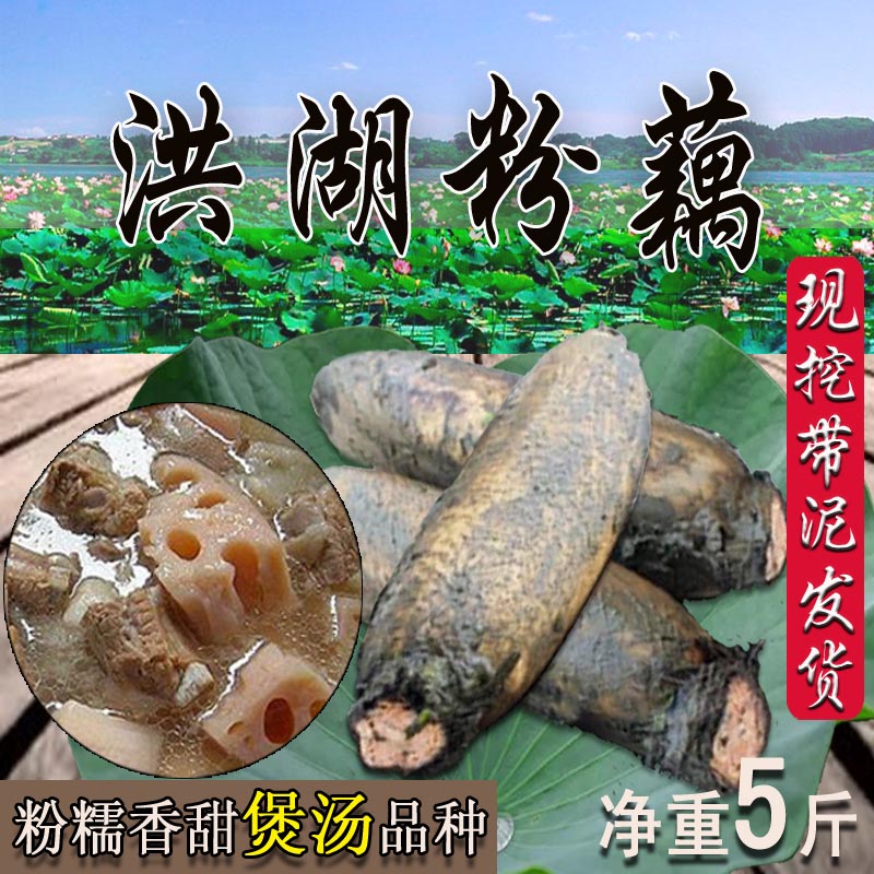洪湖莲藕新鲜湖北特产