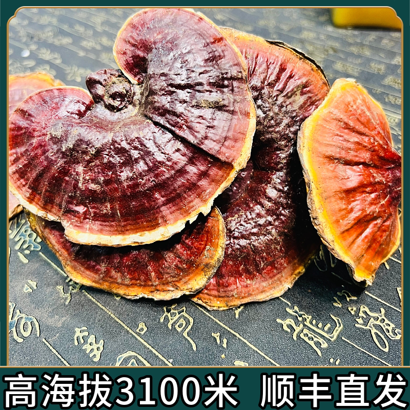 西藏野生赤灵芝正宗中药材纯干货灵芝官方旗舰店灵芝可泡水泡酒