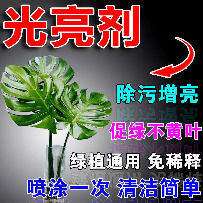 植物叶面光亮剂绿萝龟背竹花卉去污除尘一喷净防黄叶增绿亮叶剂肥