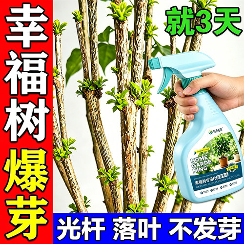 幸福树爆芽生根营养液