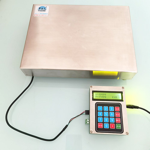 穿山乙厂家新g1定量秤称重灌装机