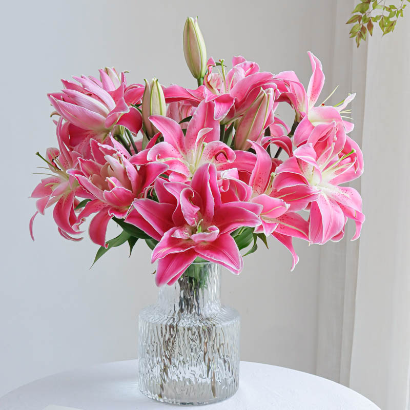 多头紫莲花粉色百合鲜花云南基地直发重瓣百合家用插花观赏鲜切花