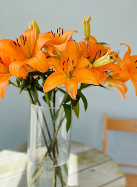 多头橙色梦想鲜花云南基地直发三头亚百合家用水养插花鲜切花花束