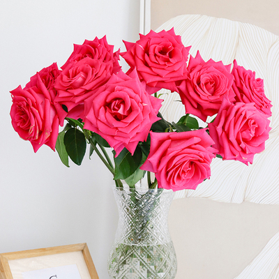 a级弗洛伊德玫瑰鲜花顺丰包邮