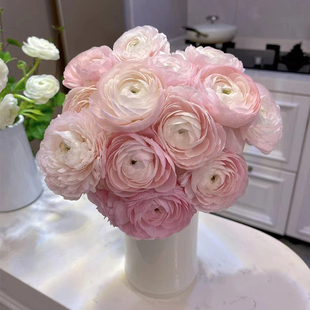 大头洋牡丹鲜花云南基地直发粉色花荷花酥鲜切花水培插花顺丰包邮