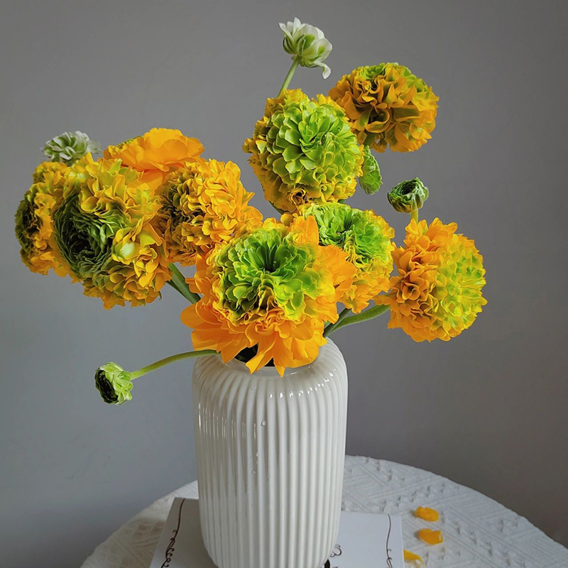 锦鲤洋牡丹鲜切花水养插花