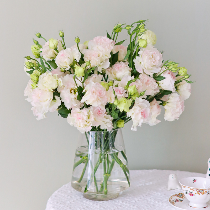 冰淇淋洋桔梗鲜切花水养瓶插花