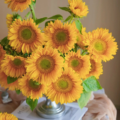 A级绿心向日葵鲜花花束鲜花插花