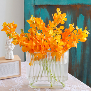 千代兰橘色鲜花洋兰万代兰插花婚庆水养鲜切花云南直发水培植物