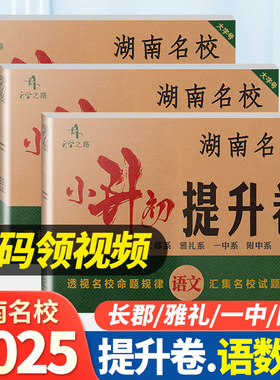 2025版湖南名校小升初提升卷