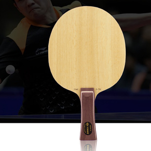 蝴蝶王底板vis图片素材