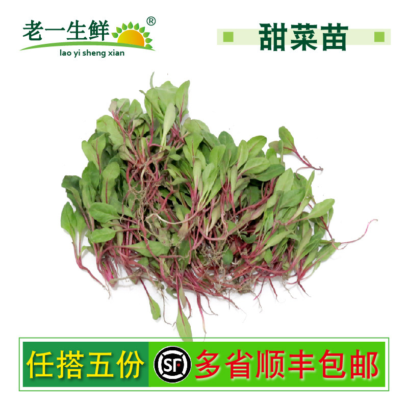 【老一生鲜】新鲜甜菜摆盘装饰