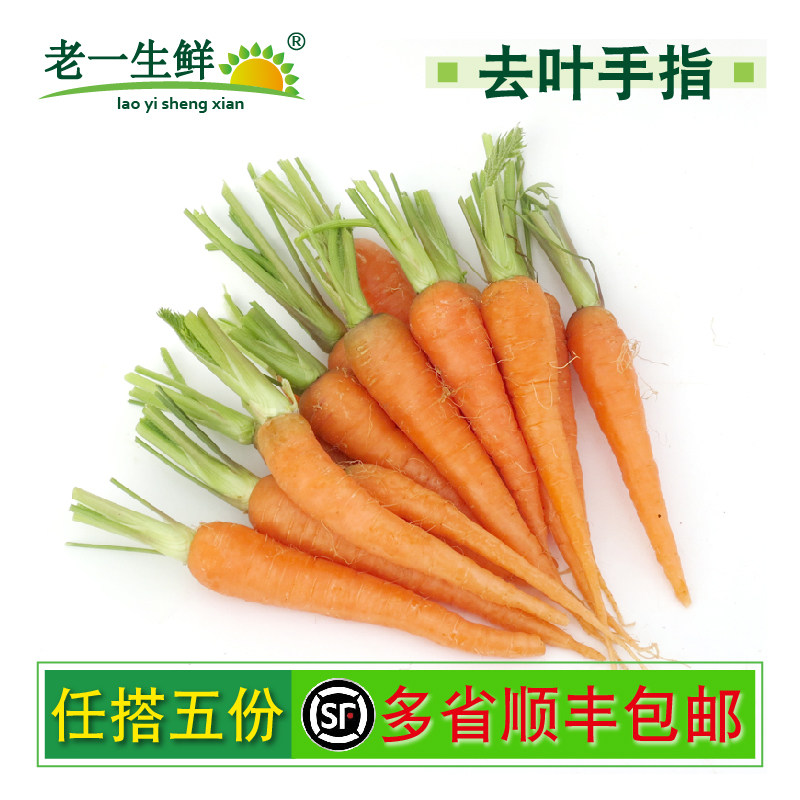 【老一生鲜】 新鲜去叶手指胡萝卜 500g 水果萝卜 迷你小胡萝卜