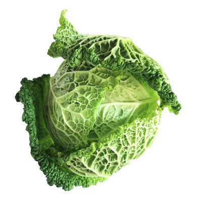 绿甘蓝，新鲜甘蓝菜蔬菜
