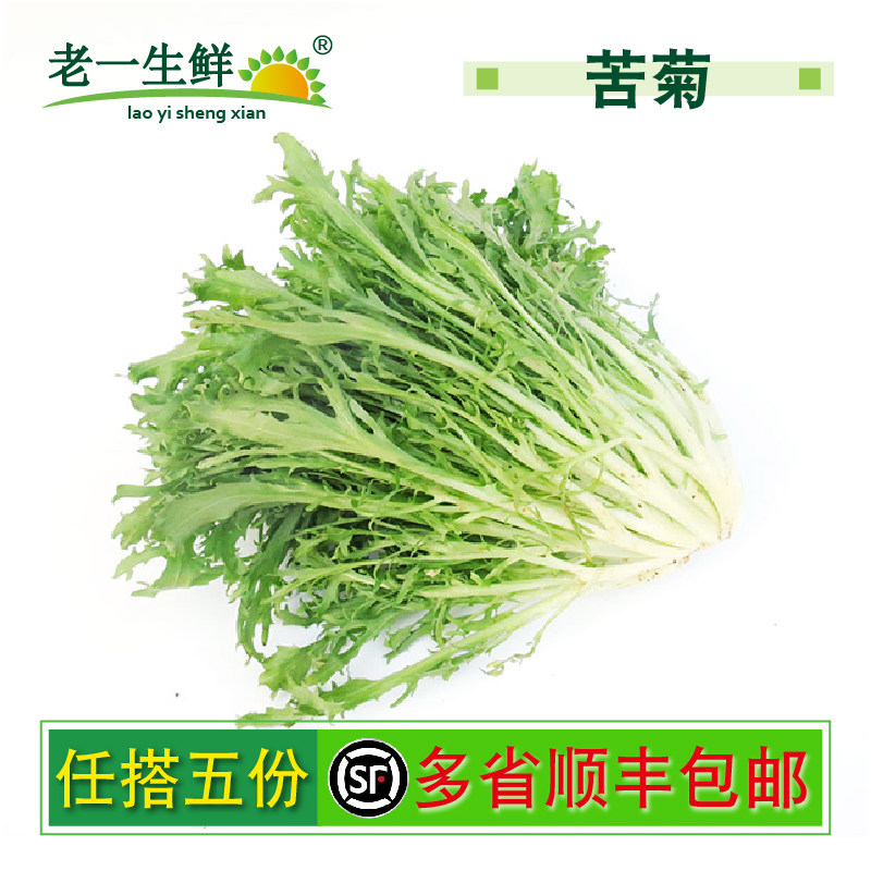 【老一生鲜】 新鲜 苦菊 苦叶 苦苣 苦菜 生菜 沙拉菜 500克