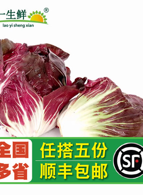 【老一生鲜】 新鲜落地球 生菜 红叶包菜 红菜落地球 红菊苣500g