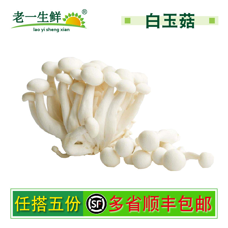 老一生鲜白玉菇150g新鲜菌菇