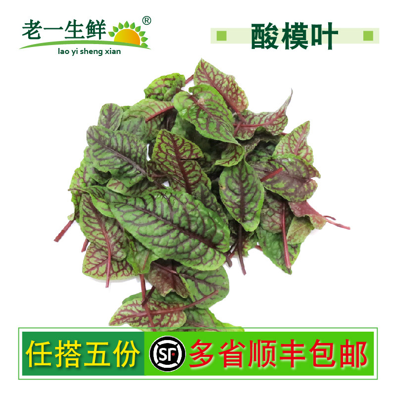 【老一生鲜】新鲜酸膜 酸模叶 红酸膜草 西餐装饰摆盘1盒 约40片