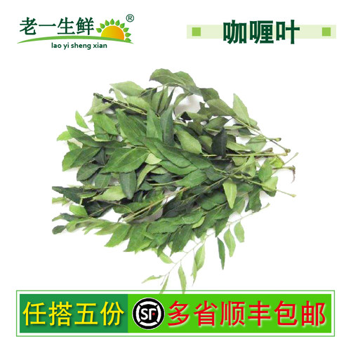 【老一生鲜】 新鲜咖喱叶 100g 新鲜香料