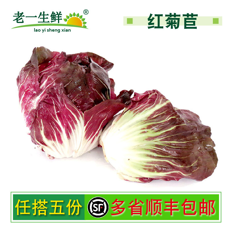 【老一生鲜】 新鲜落地球 生菜 红叶包菜 红菜落地球 红菊苣500g