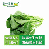 老一生鲜 新鲜蔬菜 新鲜 广东菜心新鲜 1500g3斤