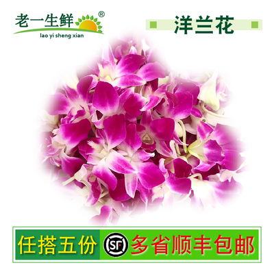 新鲜洋兰花250g摆盘装饰